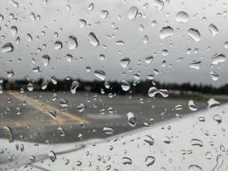 Seattle weather