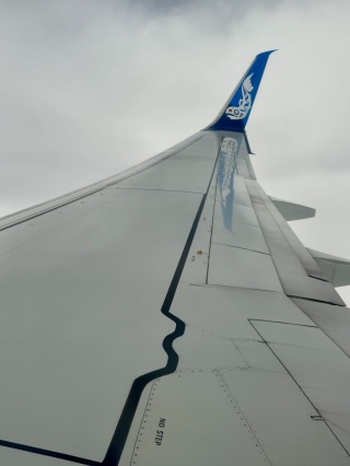 The coolest winglet