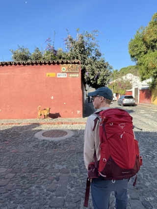 That dog is happy to see us