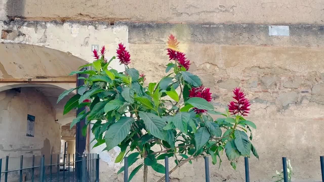 A persistent pleasant breeze