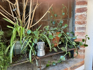 Still life