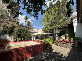 El Local, we recommend