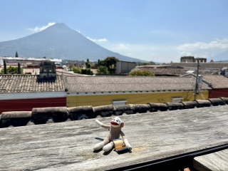 Sock monkey, the world traveler