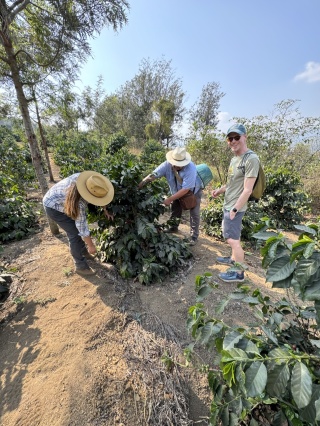 An enthused Brian on our coffee farm tour