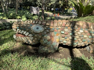 Cool croc