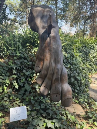 Big foot