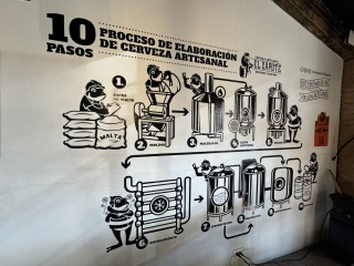 Frogs making beer