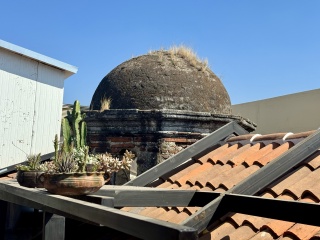 Fuzzy colonial dome