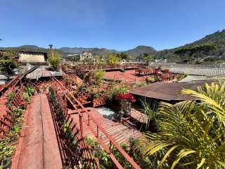 The rooftop garden, just lovely