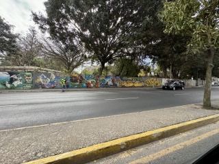Murals, murals everywhere