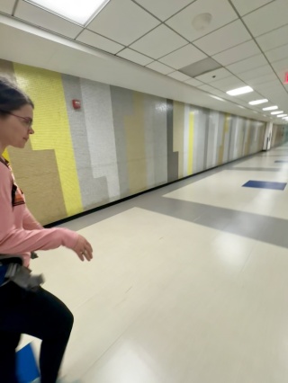 Miles of tunnels to border control