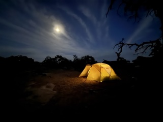 In the moonlight