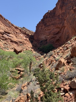 The scramble. The trail goes up that