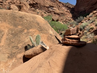Cactus and cairn