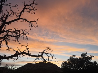 Stunning skies
