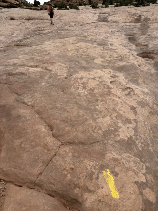 Follow the yellow blazes. To dinosaur tracks!