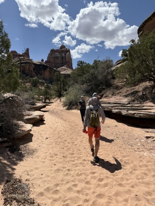 Wash walking