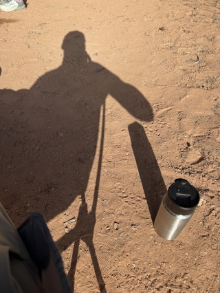 Long morning shadows