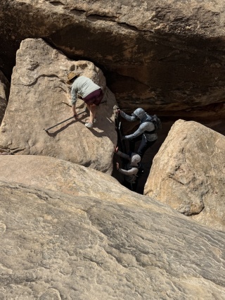 Back down the ladder. Theresa has a spotter as her husband takes photographs