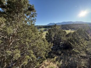 Back in Monticello. Almost Snow Free