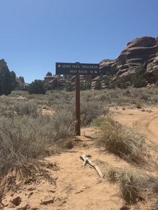 We went left