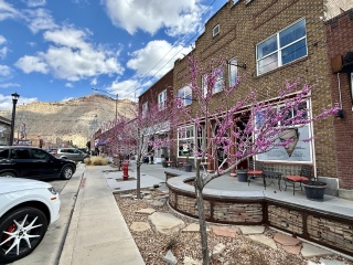 Blossom on the way to a creative space